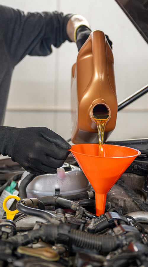 European Auto Fluid Change European Auto Fluid Change