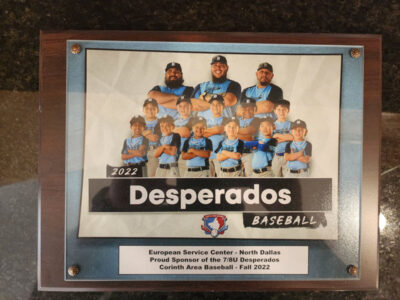 A plaque commemorating the 2022 Desperados baseball team, sponsored by European Service Center - North Dallas